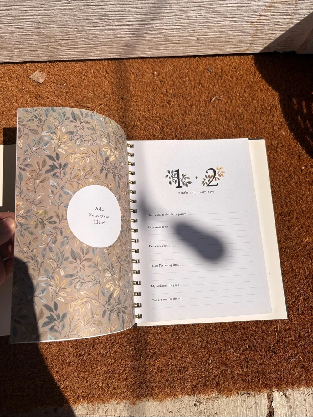 Growing You: Keepsake Pregnancy Journal and Memory Book for Mom and Baby